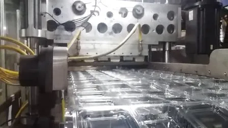 Erdbeer-Haustier-Einweg-Clamshell-Verpackung, transparente Obst-Kunststoffbox